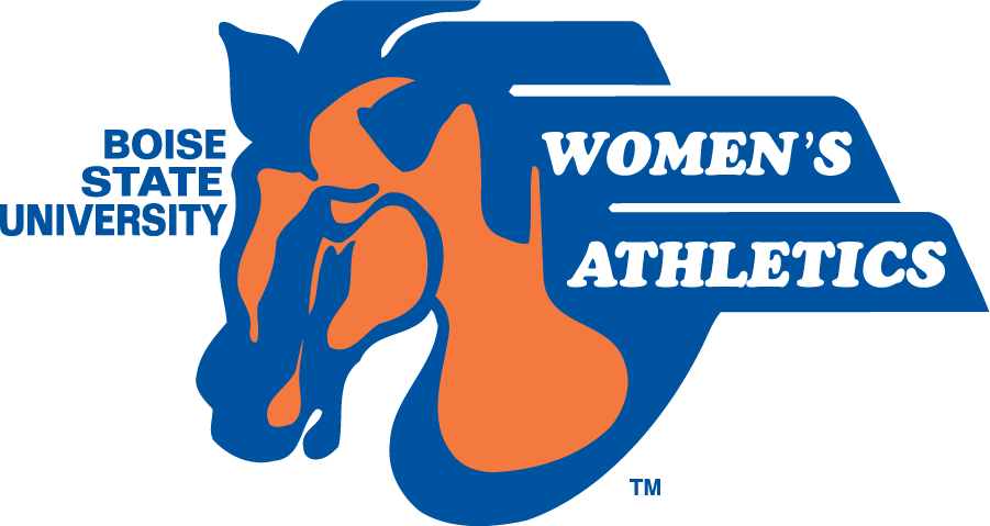 Boise State Broncos 1990-2002 Alternate Logo diy iron on heat transfer